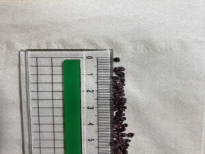 S__38404126.jpg
