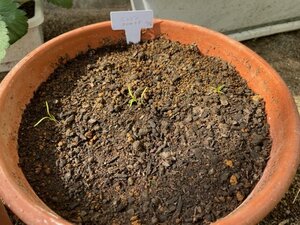 IMG_4878.jpeg