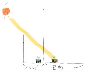 日光.jpg