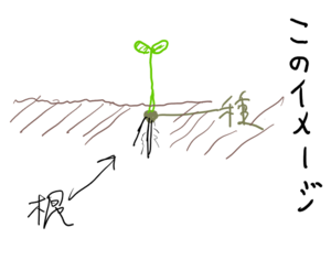 スクリーンショット 2024-11-29 165242.png