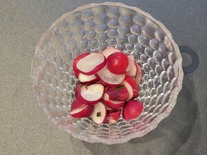 20241130_131552.jpg