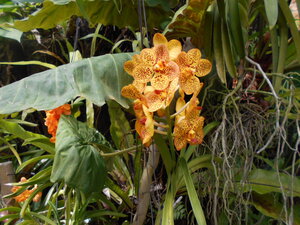 DSCN0358.JPG