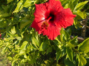 DSCN0483.JPG