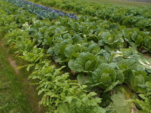 DSCN0747.JPG