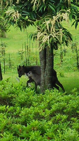 DSC_0087.JPG