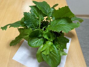 IMG_5869.jpg