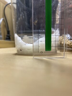 S__40509448.jpg