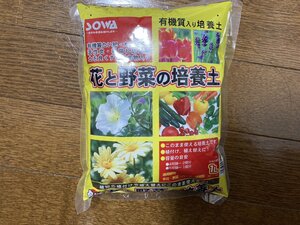つち.jpg