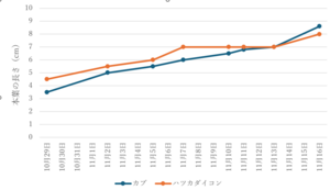 スクリーンショット 2024-11-16 153359.png