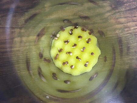 IMG_5844.jpeg