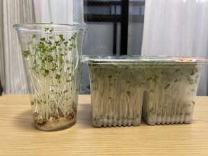 高さひかくぶ.jpg