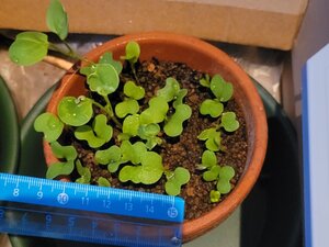 20241008_172712 (1).jpg