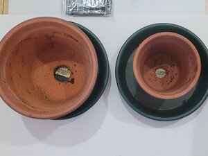 20241130_142155.jpg