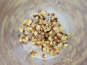 20241201_092245.jpg