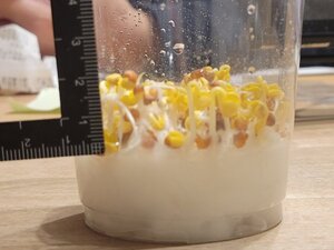 20241202_181840.jpg