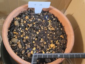 20241204_214809 (1).jpg