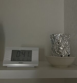 IMG_5908 1.jpg