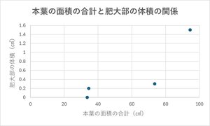 本葉の面積の合計と肥大部の体積の関係３.jpg