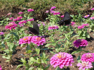 DSCN0325.JPG