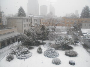 DSCN0583.JPG