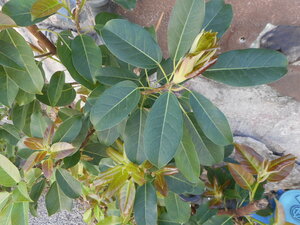 DSCN0220.JPG