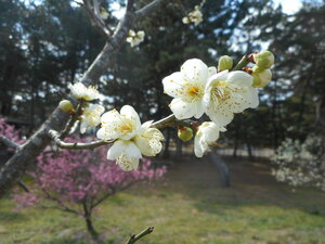 DSCN0269.JPG