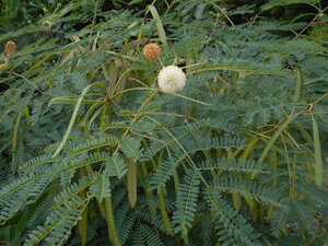 DSCN0286.JPG