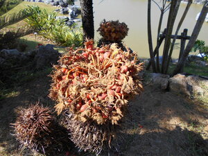 DSCN0334.JPG