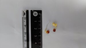 DSC_1345.JPG