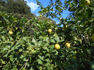 DSCN0824.JPG