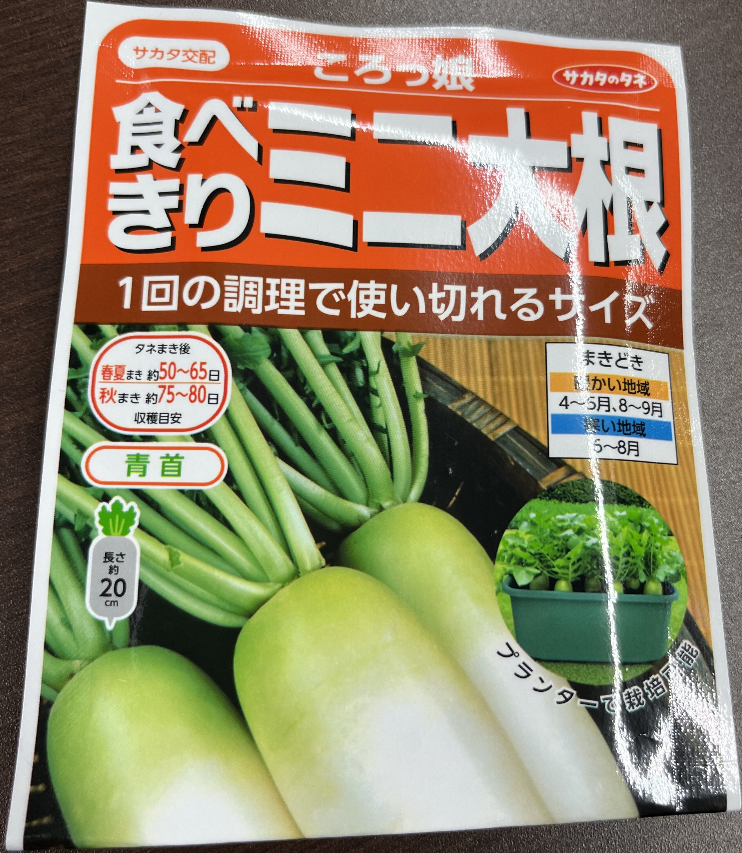 https://www.ige.tohoku.ac.jp/prg/watanabe/as-vegetable2025/2025/10/IMG_3558.jpg