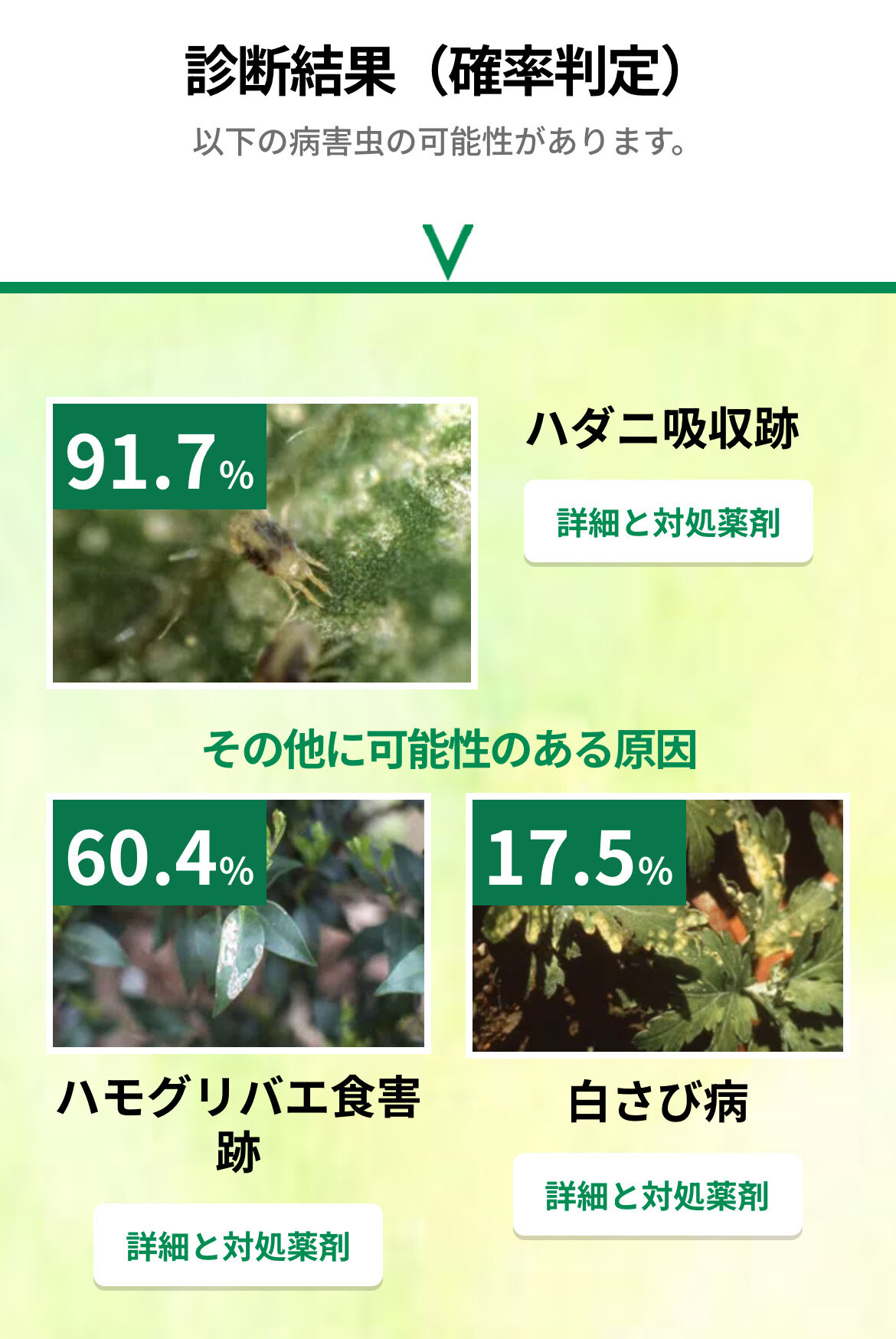 https://www.ige.tohoku.ac.jp/prg/watanabe/as-vegetable2025/2025/11/IMG_8106.jpeg
