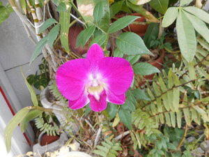 DSCN4056.JPG