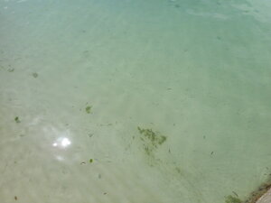 DSCN4183.JPG