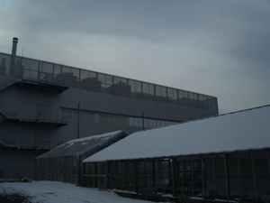 CIMG4882.JPG