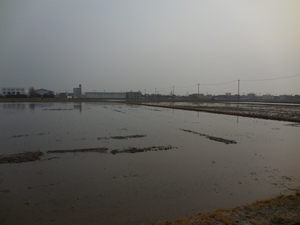 DSCN2172.JPG