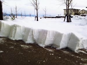 DSC_0229_Fotor.jpg