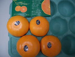 CIMG4873.jpg