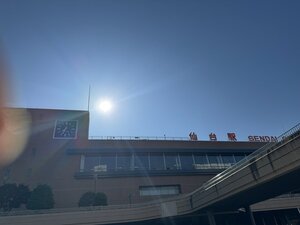 20250508112923-d510cc81580313a812fc9e5d4fd9c8959fc28a4a.JPEG