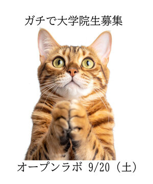 20250919162845-96a9cf46eabe7fd50c6dfe9e9926d7c43aafc717.jpg