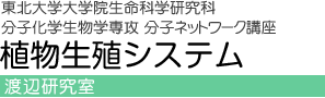 東北大学大学院生命科学研究科 分子化学生物学専攻 分子ネットワーク講座 植物分子育種