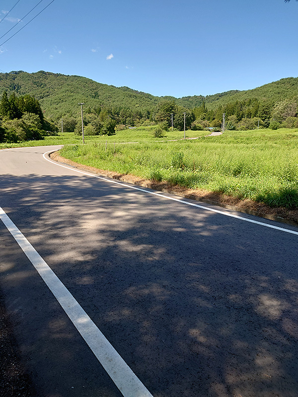 菅野 泰樹